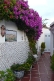 andalucian-azulejos